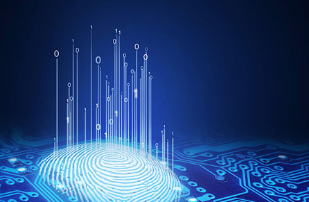 1706176338352328.jpg bc7c1595eb75fc6b8098132ba1fe953d_64619abc64018.jpg