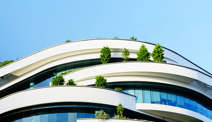 1717032969838141.jpg e0549eca5b713adc11dee47d079ddec7_64619fee006f4.jpg